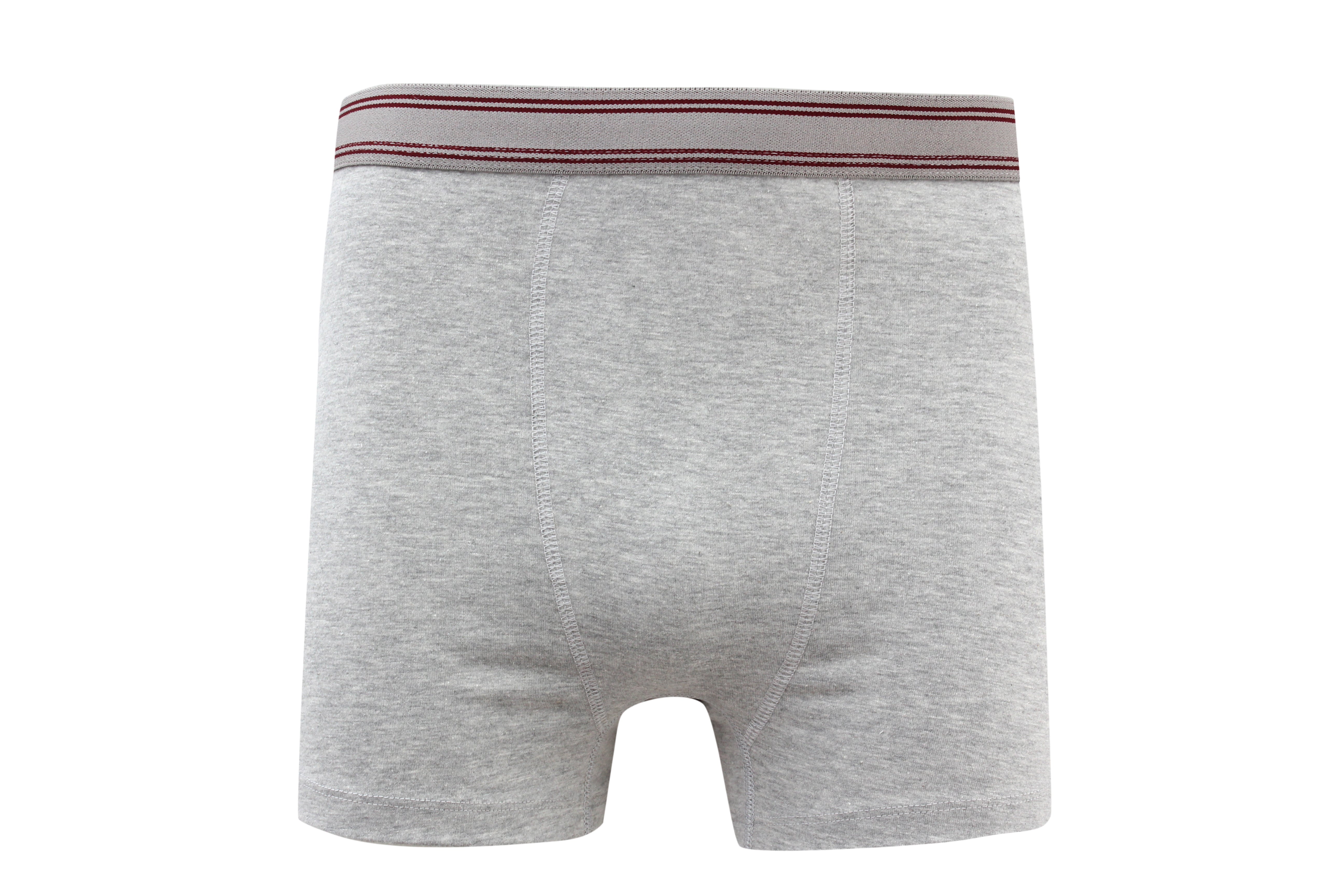 Charmaine Boxer Briefs for Men