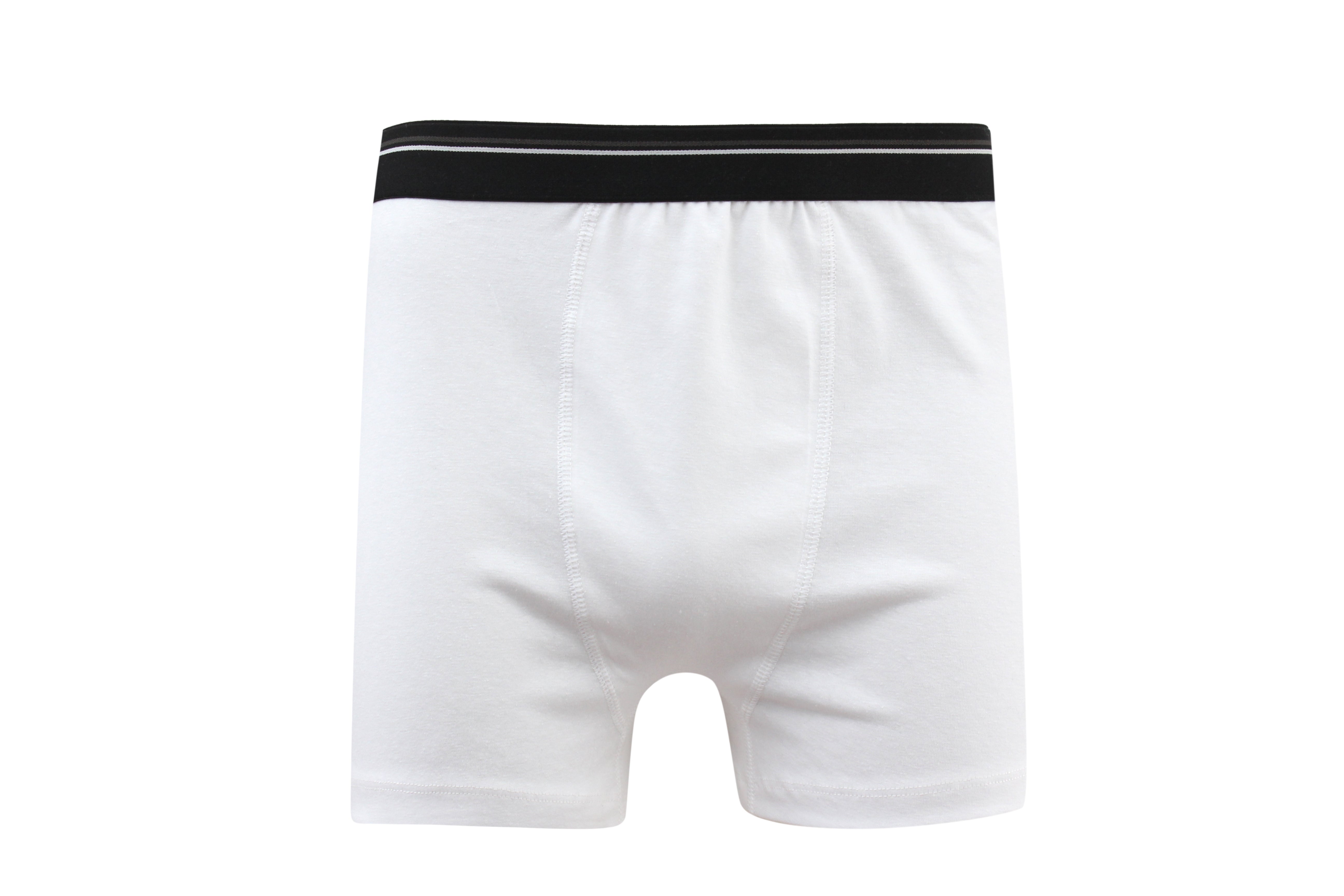 Charmaine Boxer Briefs for Men