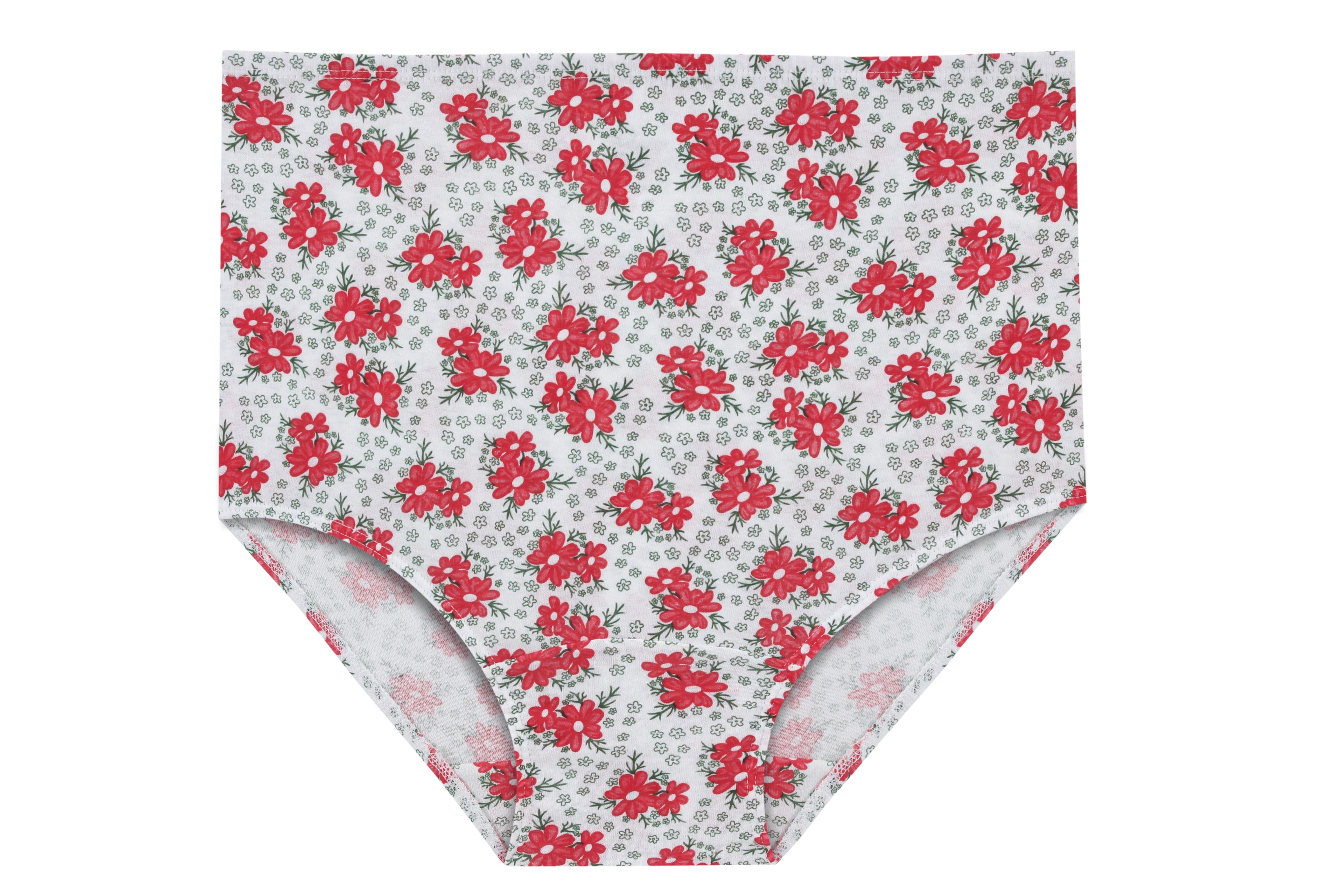 Women's Printed Maxi Briefs Underwear
