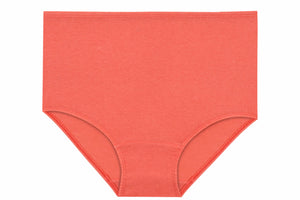 Women's Maxi Briefs Underwear