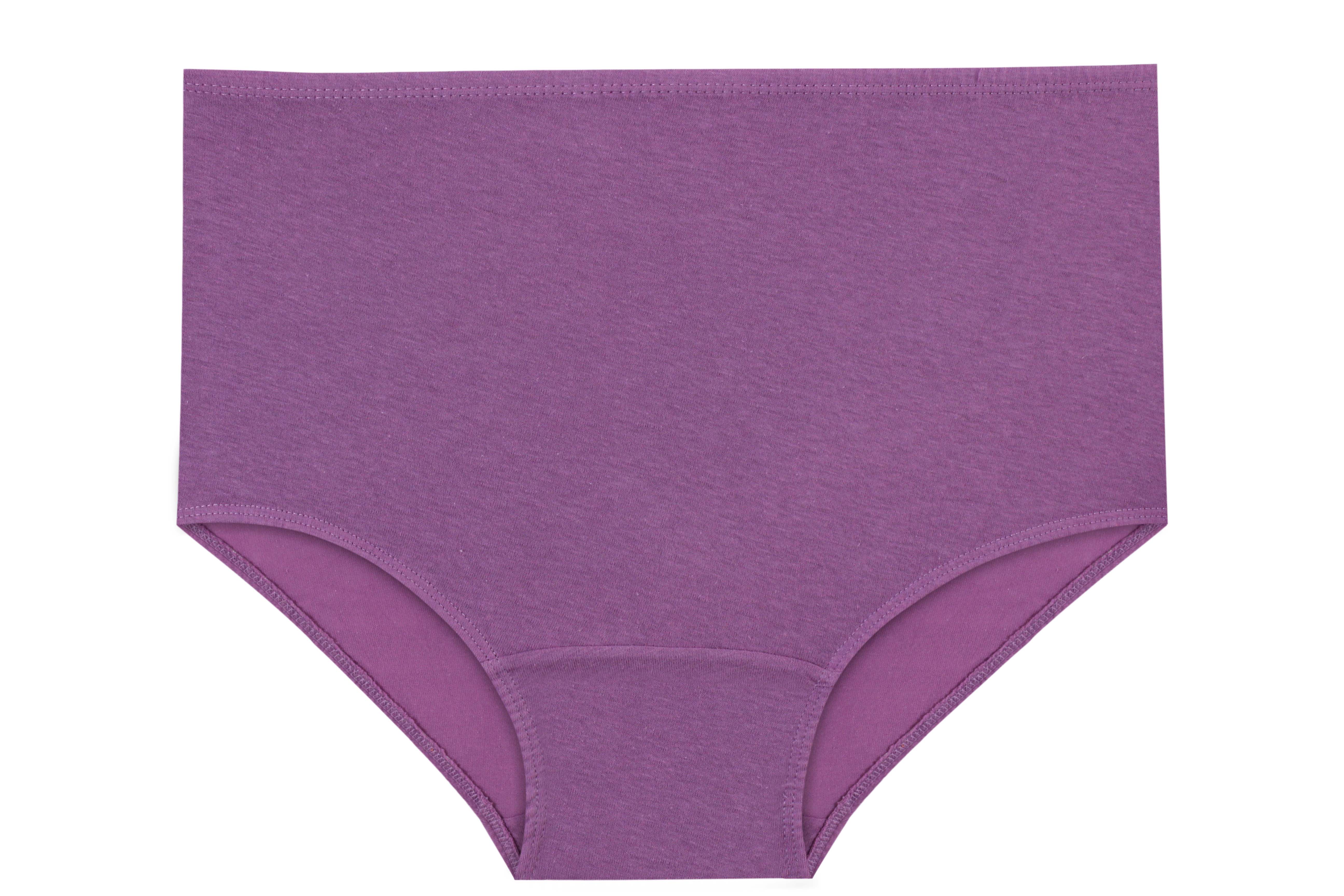 Women's Maxi Briefs Underwear